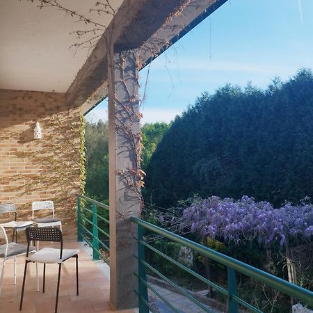 Casa Campo Ao Rio_Village Barcelos Exterior photo